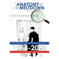 Anatomy of the Meltdown 1998-2008: The Worst Decade in Stock Investing, or Was It? - Paperback