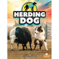 Herding Dog - Library Binding
