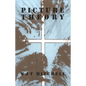 Picture Theory: Essays on Verbal and Visual Representation - Paperback