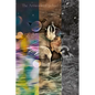 The Artwork of 3ichael 7ambert: Volumes 4, 5 & 6 - Paperback