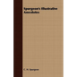 Spurgeon's Illustrative Anecdotes - Paperback