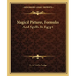 Magical Pictures, Formulas and Spells in Egypt - Paperback
