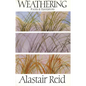 Weathering - Paperback