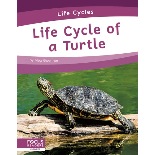 Life Cycle of a Turtle - Paperback