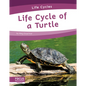 Life Cycle of a Turtle - Paperback