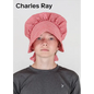 Charles Ray - Hardcover