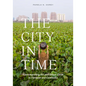 The City in Time: Contemporary Art and Urban Form in Vietnam and Cambodia - Hardcover