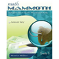 Math Mammoth Grade 5 Skills Review Workbook Answer Key - Paperback