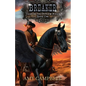 Breaker: A Weird Western Fantasy - Paperback