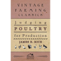 Judging Poultry for Production - Paperback