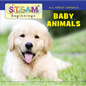Baby Animals - Board Book