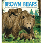 Brown Bears - Hardcover