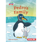 Pedro's Family - Paperback