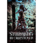 Stumbling in Crazytown - Paperback