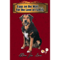 Eggs on the Wall . . . For the Love of Family - Paperback