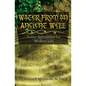 Water from an Ancient Well: Celtic Spirituality for Modern Life - Paperback