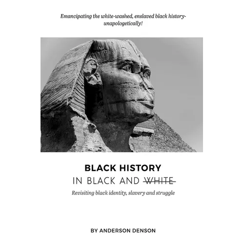 Black History in Black and White: Revisiting Black Identity, Slavery and Struggle - Paperback