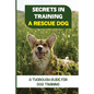 Secrets In Training A Rescue Dog: A Thorough Guide For Dog Training: How To Train Your Dog To Be A Rescue Dog - Paperback