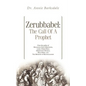 Zerubbabel: The Call of a Prophet - Paperback