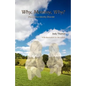 Why, Mommy, Why?: Dissociative Identity Disorder - Paperback