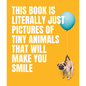 This Book Is Literally Just Pictures of Tiny Animals That Will Make You Smile - Hardcover