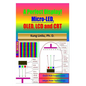 A Perfect Display! Micro-LED, OLED, LCD and CRT - Paperback