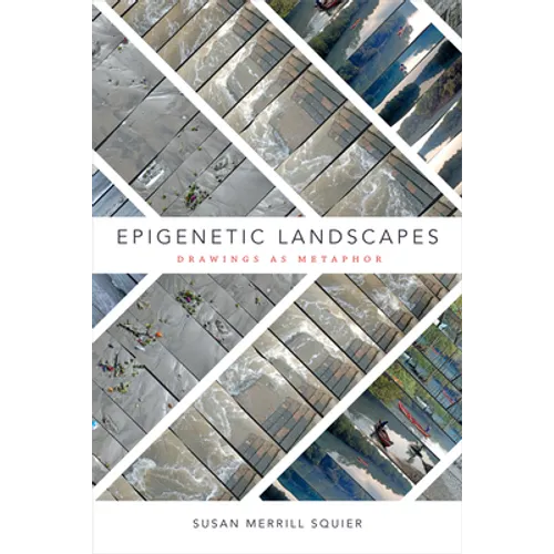 Epigenetic Landscapes: Drawings as Metaphor - Paperback