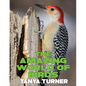 The Amazing World of Birds: Do Your Kids Know This?: A Children's Picture Book - Paperback