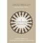 A Common Mission: Healthy Patterns in Congregational Mission Partnerships - Paperback