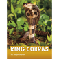King Cobras - Hardcover