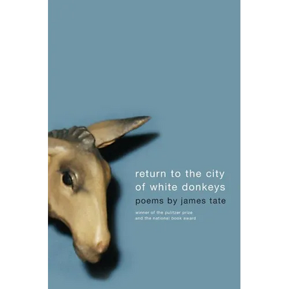 Return to the City of White Donkeys: Poems - Paperback