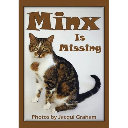 Minx is Missing - Paperback