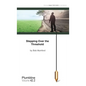 Stepping Over the Threshold - Paperback