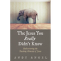 The Jesus You Really Didn't Know: Rediscovering the Teaching Ministry of Jesus - Paperback
