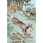 Mother West Wind's Children by Thornton Burgess, Fiction, Animals, Fantasy & Magic - Paperback
