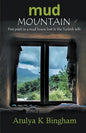 Mud Mountain - Five Years In A Mud House Lost In The Turkish Hills - Paperback