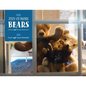 The Stay-At-Home Bears - Paperback
