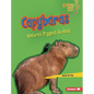 Capybaras: Nature's Biggest Rodent - Library Binding