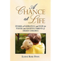 A Chance At Life: Stories of Inspiration and Hope for Foster and Adoptive Parents of Abused Children - Paperback