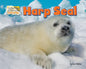 Harp Seal - Paperback