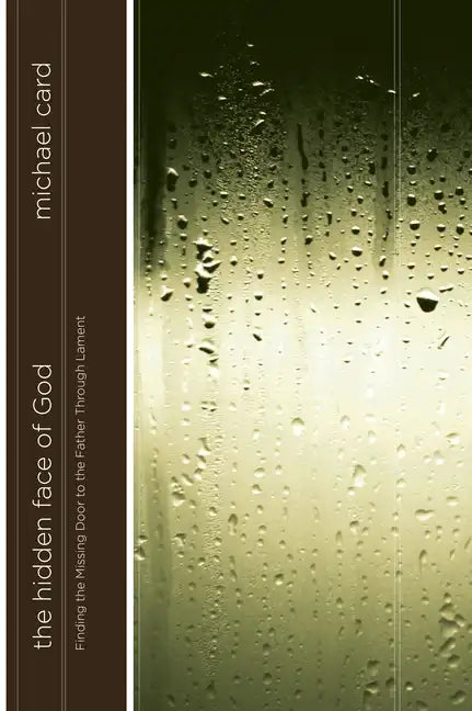 The Hidden Face of God: Finding the Missing Door to the Father Through Lament - Paperback
