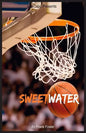 Sweetwater: A Biography of Nathaniel "Sweetwater" Clifton - Paperback