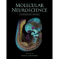 Molecular Neuroscience: A Laboratory Manual - Paperback