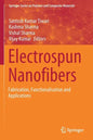 Electrospun Nanofibers: Fabrication, Functionalisation and Applications - Paperback