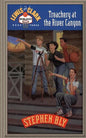 Treachery at the River Canyon - Paperback