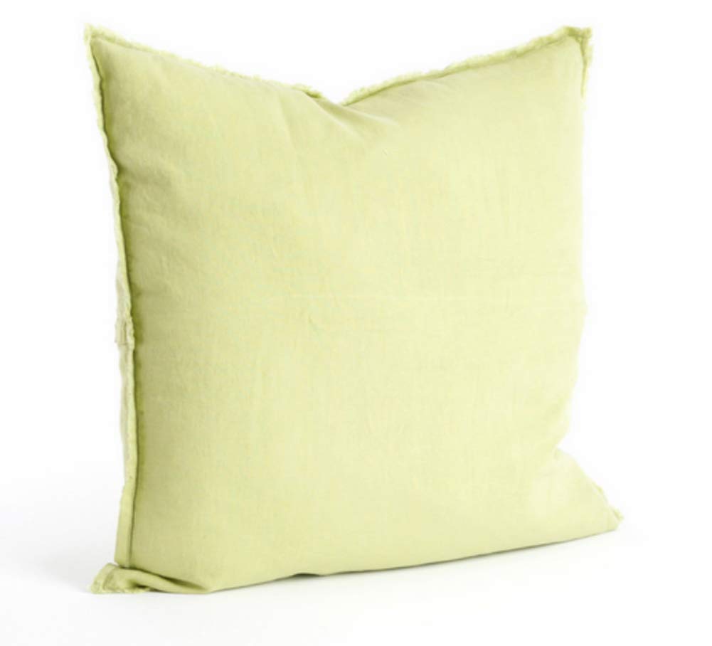 Fennco Styles Fringed Design Down Filled Linen 20-Inch Throw Pillow