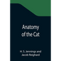 Anatomy of the Cat - Paperback