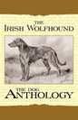 The Irish Wolfhound - A Dog Anthology (A Vintage Dog Books Breed Classic) - Paperback