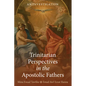 Trinitarian Perspectives in the Apostolic Fathers: An Investigation - Paperback