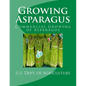 Growing Asparagus: Commercial Growing of Asparagus - Paperback
